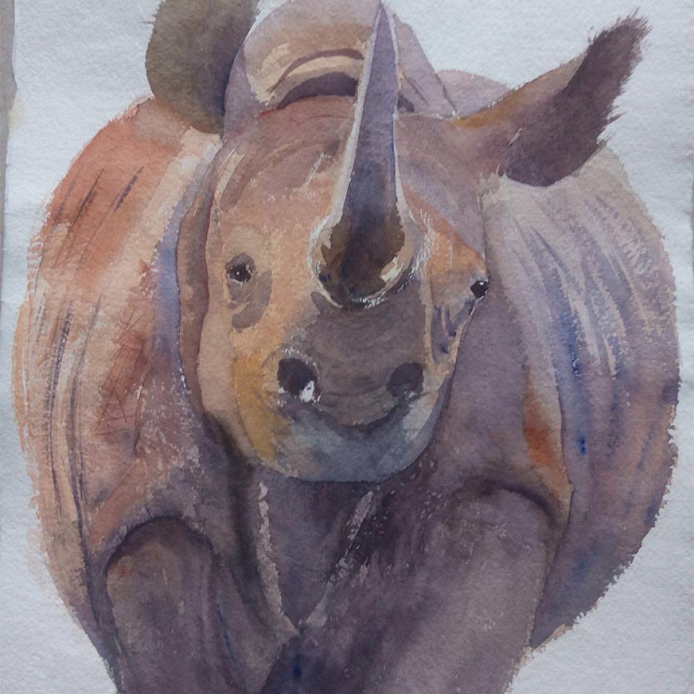 I colori del rinoceronte 